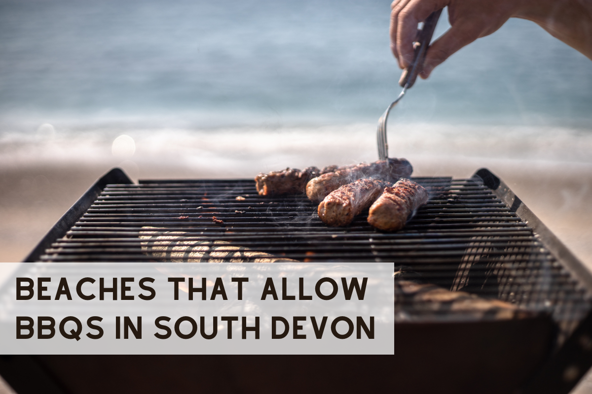 Beaches in South Devon that permit BBQs